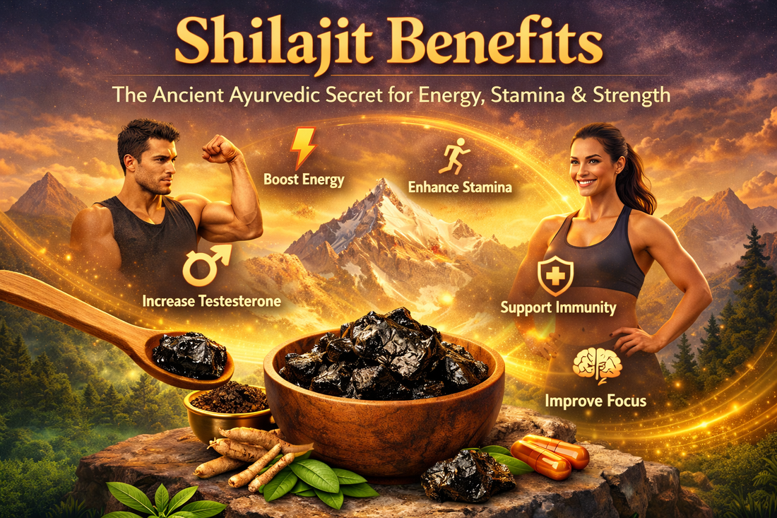 Shilajit Benefits: The Ancient Ayurvedic Secret for Energy, Stamina & Strength
